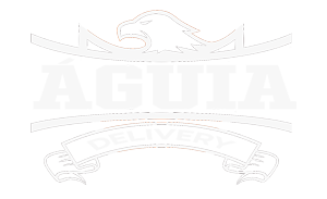 logo-aguia-delivery-si-oficial